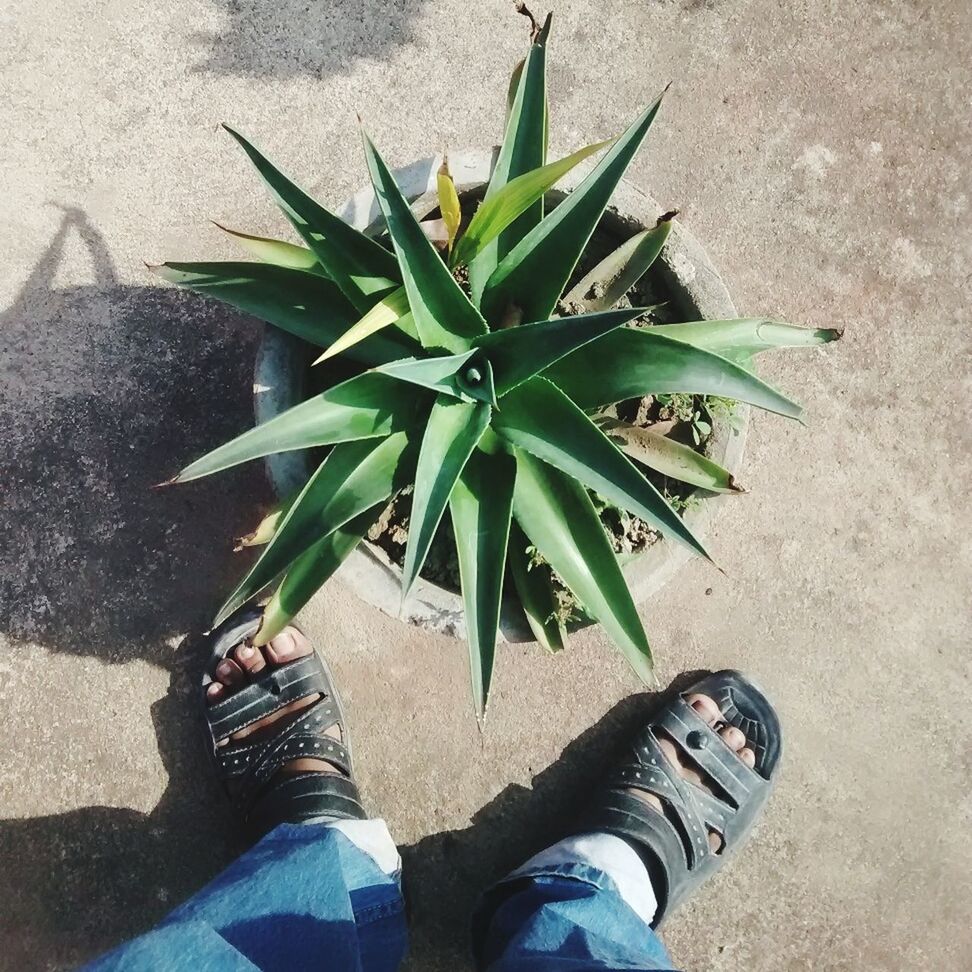 LOW SECTION OF PERSON STANDING ON GROUND