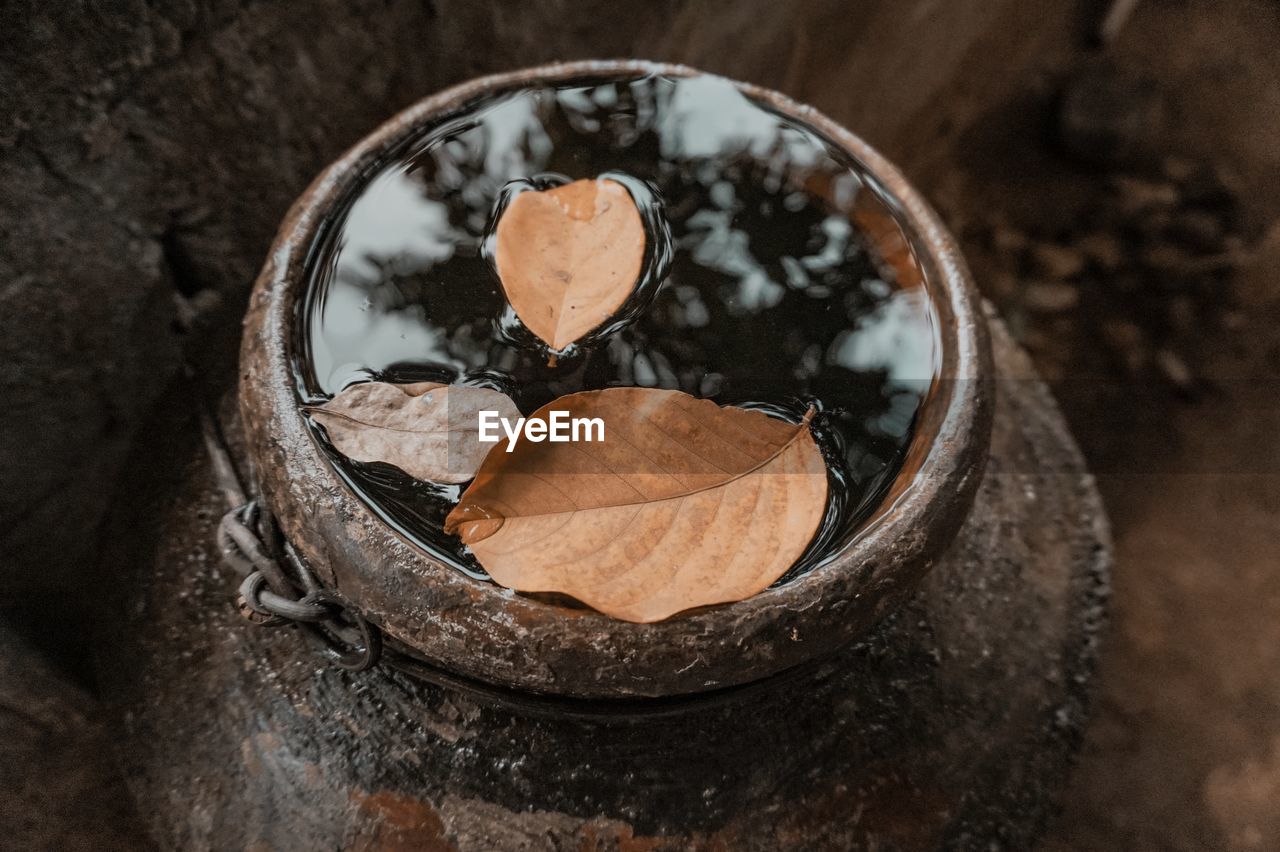 Dried leaves floating on the water in the pottery