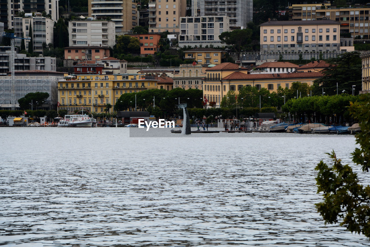 A souvenir of and old edition of LongLake Festival: a whale in the lake Ceresio - Lugano, Canton Ticino, Switzerland. Art Canton Ticino Ceresio City Cityscape Day Lago Lago Di Lugano  Lake Longlake Lugano Outdoors Schweiz Statue Svizzera Swiss Switzerland Tessin Ticino Town Urban Urban Art Water Waterfront Whale