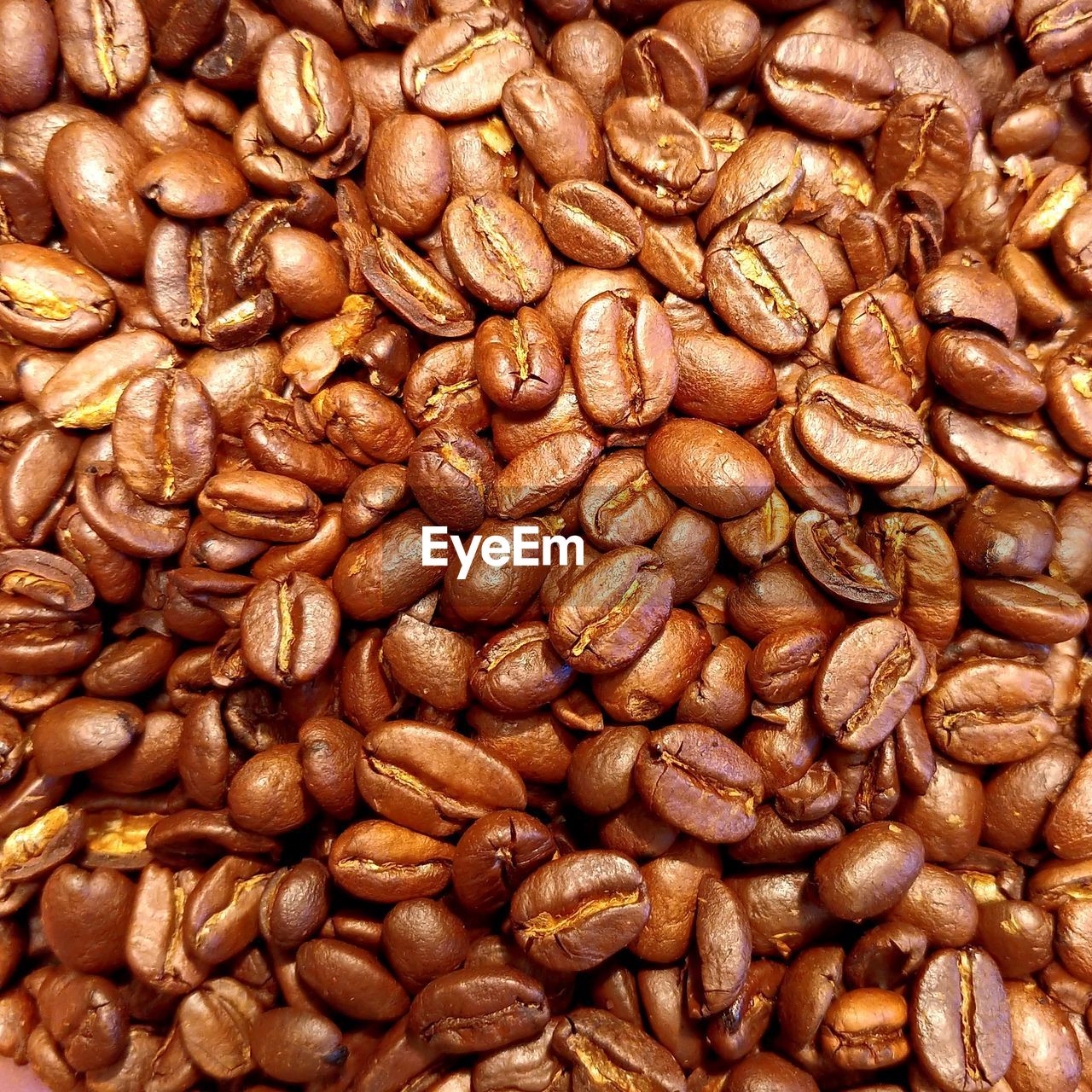 Full frame shot of coffee beans