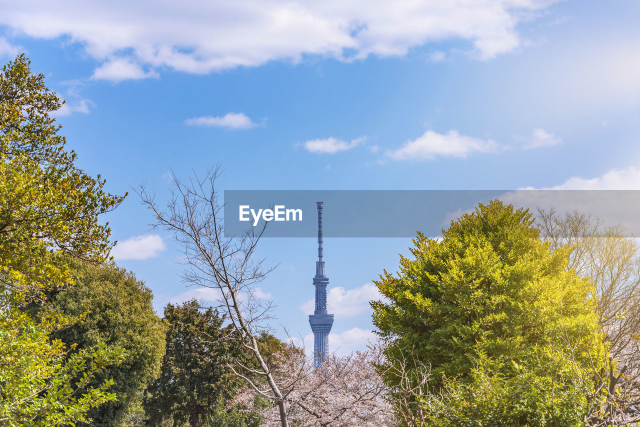 Japan tallest tower tokyo skytree emerging behind the trees of the yanaka cemetery of tokyo.