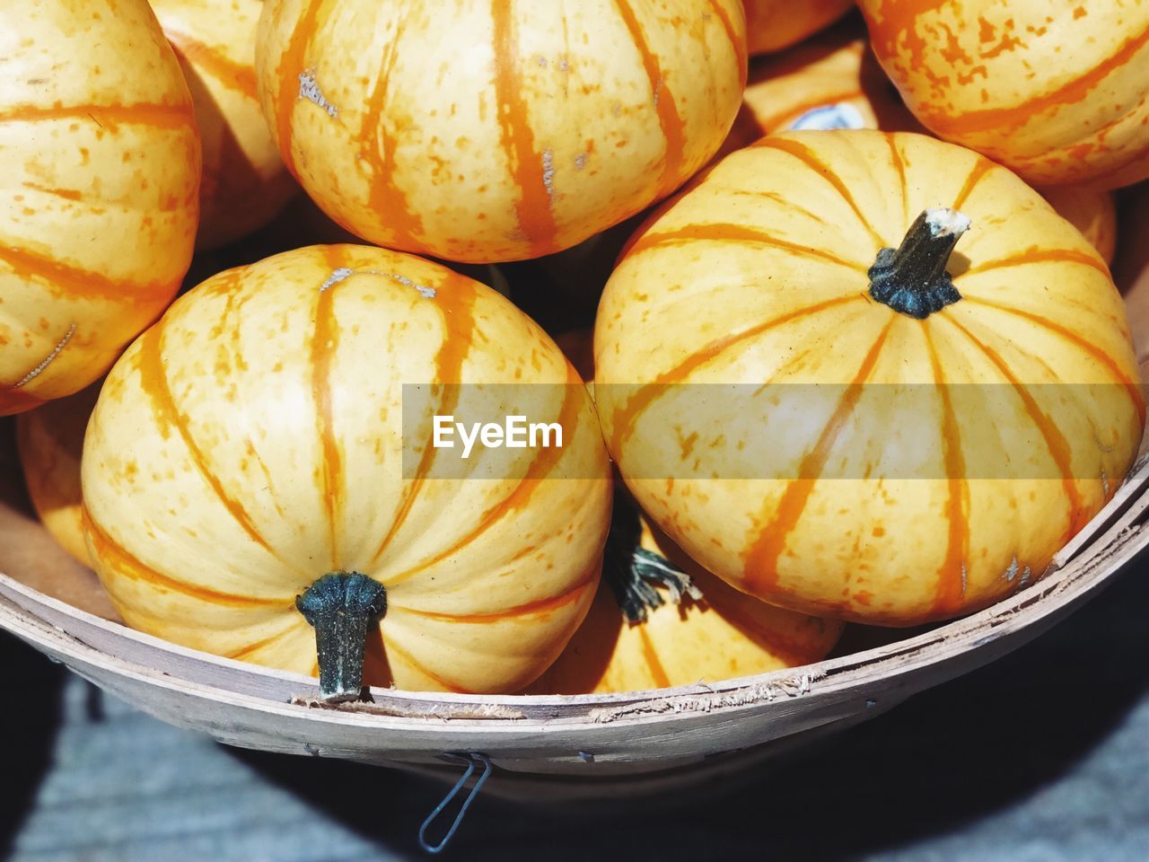 High angle view of pumpkins in container