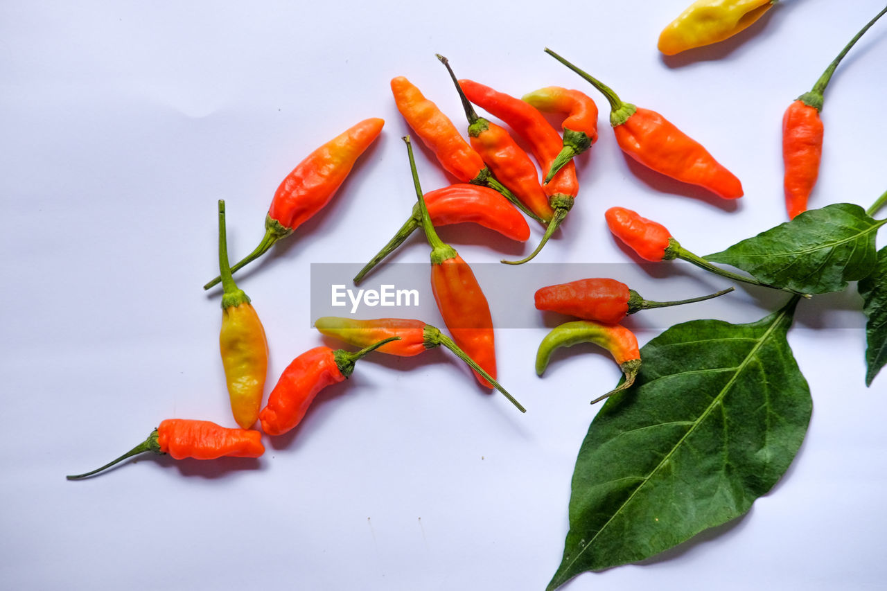 HIGH ANGLE VIEW OF CHILI PEPPERS IN CONTAINER