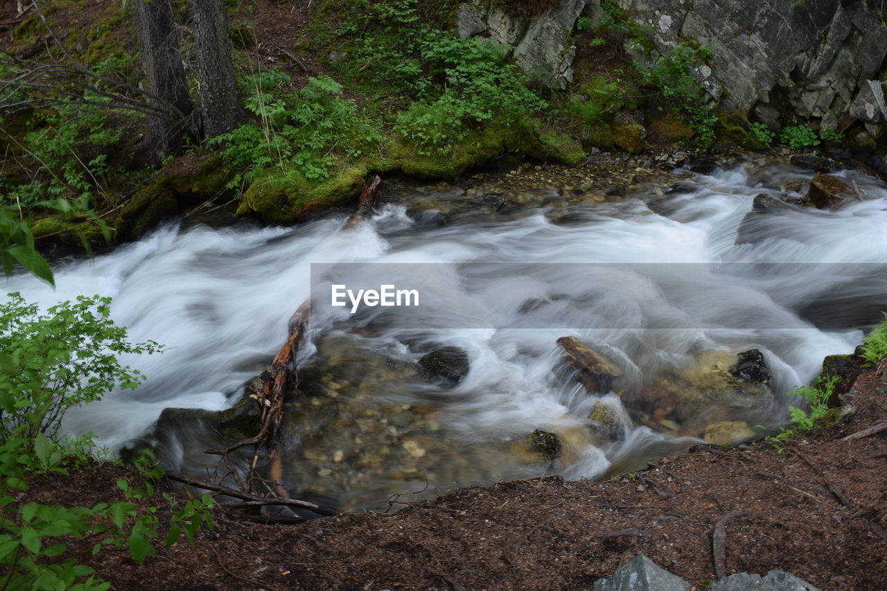 Stream flowing through rocks in forest