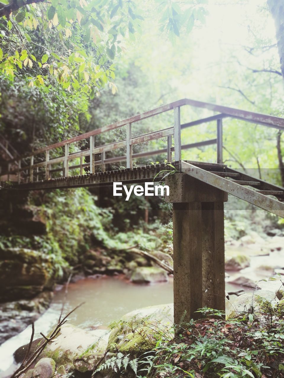 FOOTBRIDGE OVER RIVER IN FOREST