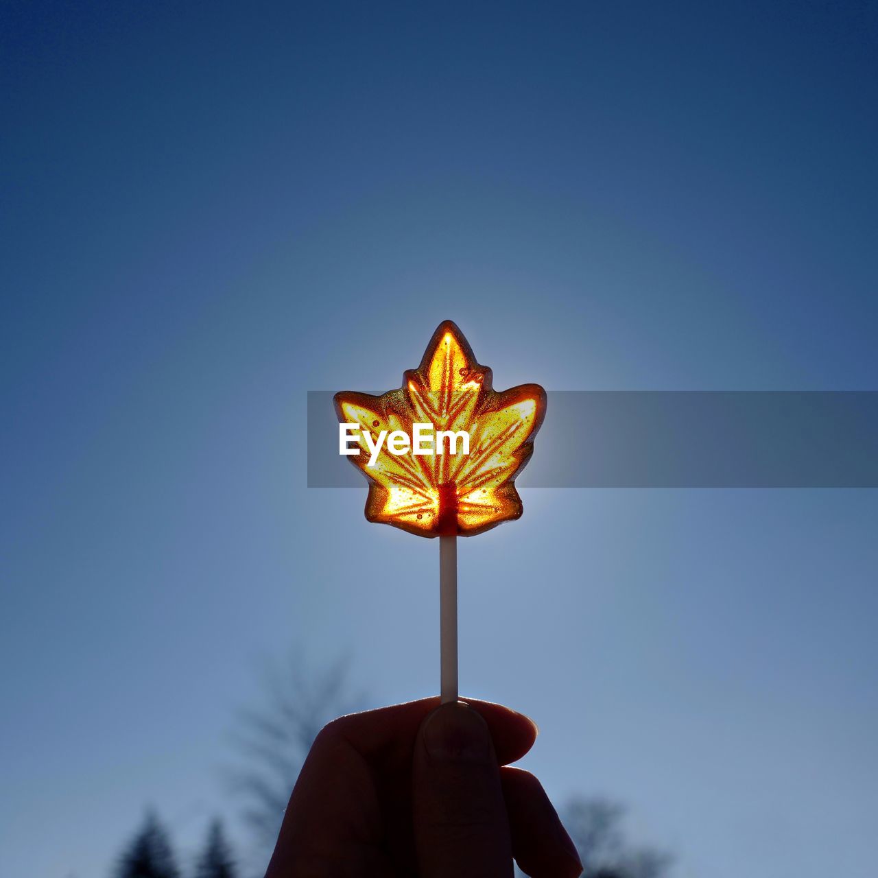 Close-up of hand holding candy against blue sky on sunny day