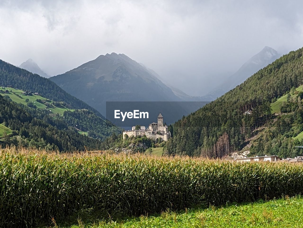 Scenic view of agricultural field against sky