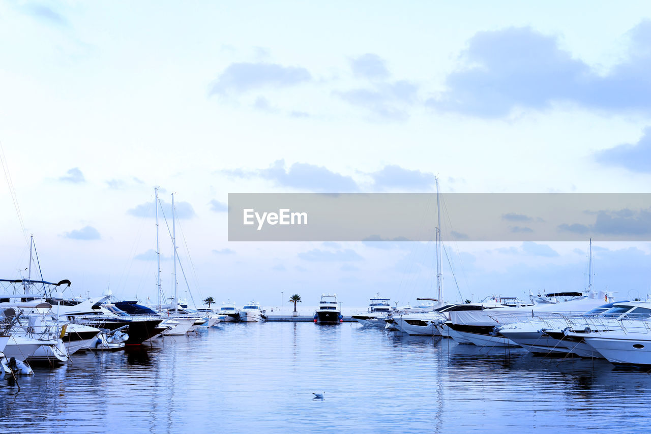 SAILBOATS IN HARBOR