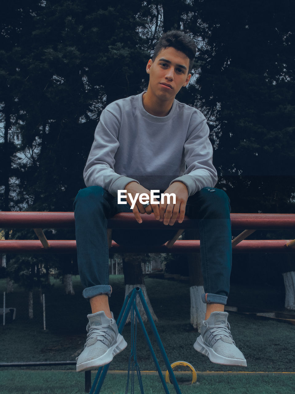 Young man sitting on bench against trees at night