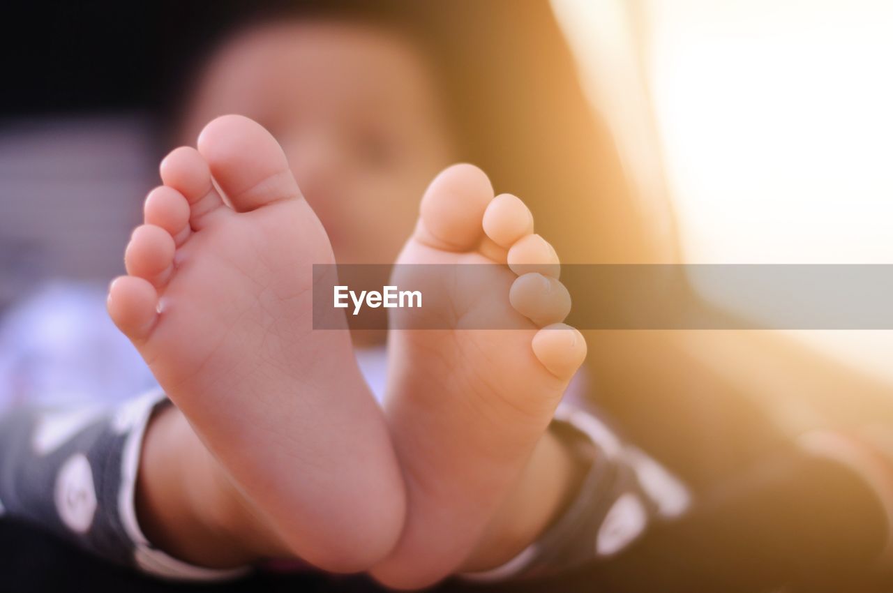 LOW SECTION OF BABY FEET WITH LEGS
