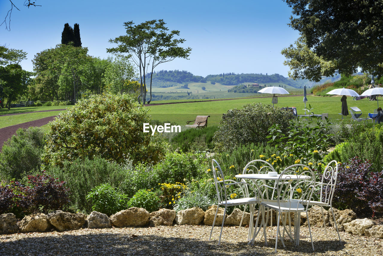 EMPTY CHAIRS AND TABLES AGAINST TREES AND PLANTS