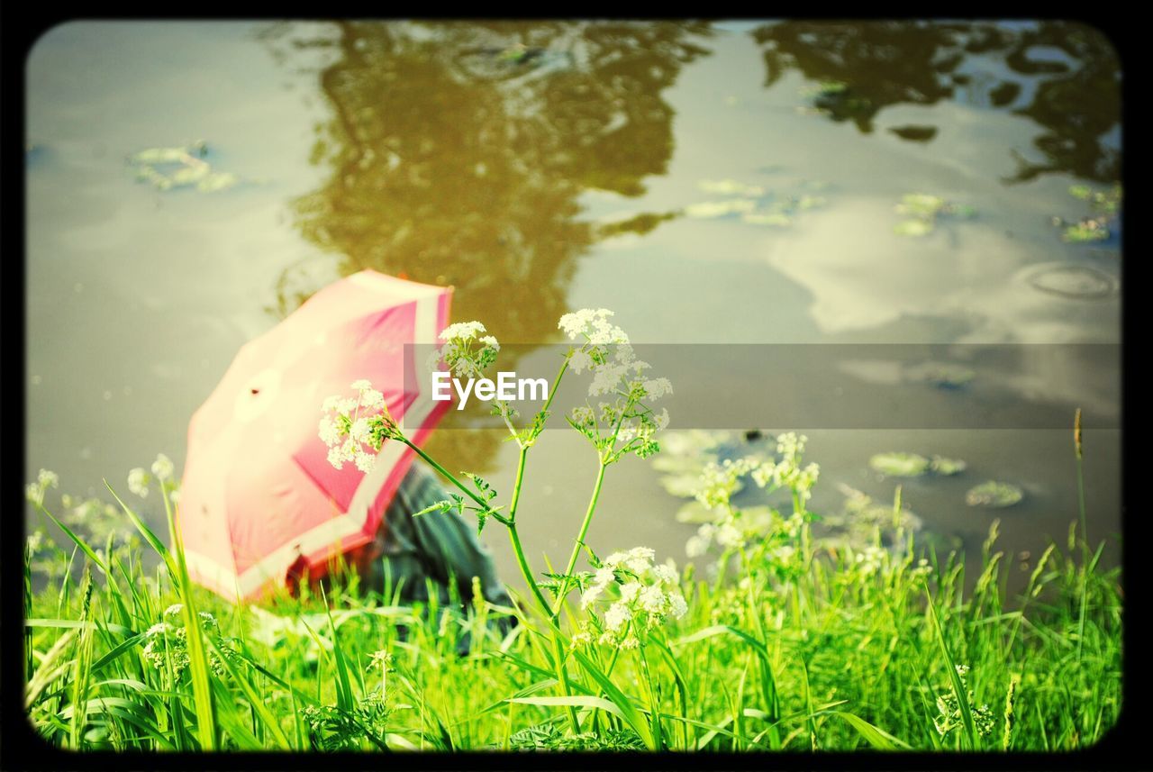 Rear view of person sitting with umbrella by the lake