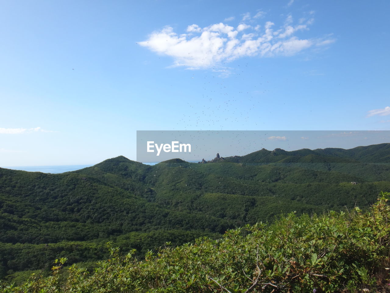 SCENIC VIEW OF GREEN LANDSCAPE AGAINST SKY