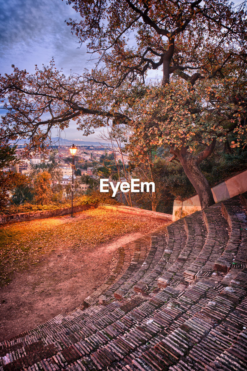TREES BY FOOTPATH DURING AUTUMN