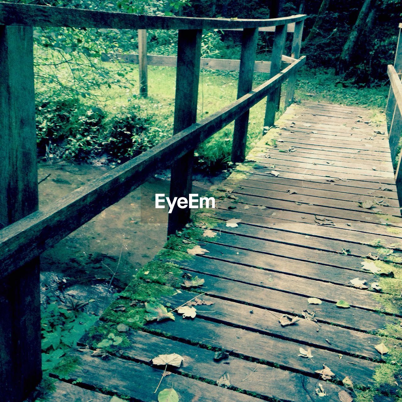 HIGH ANGLE VIEW OF FOOTPATH AMIDST TREES