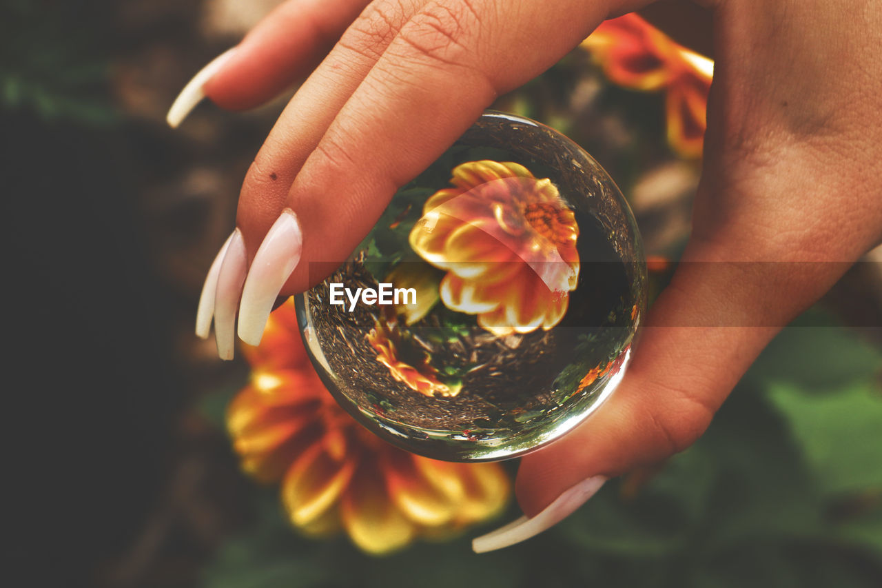 Close-up of hand holding lens ball 