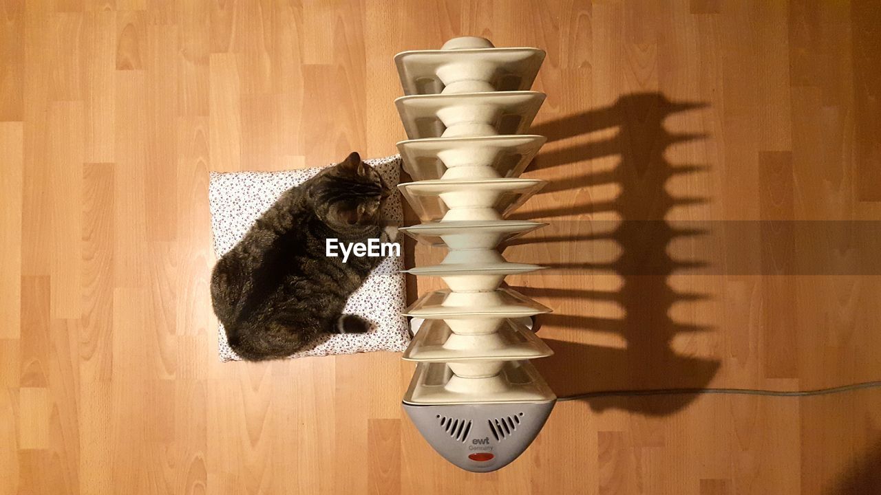 High angle view of cat by heater on hardwood floor at home