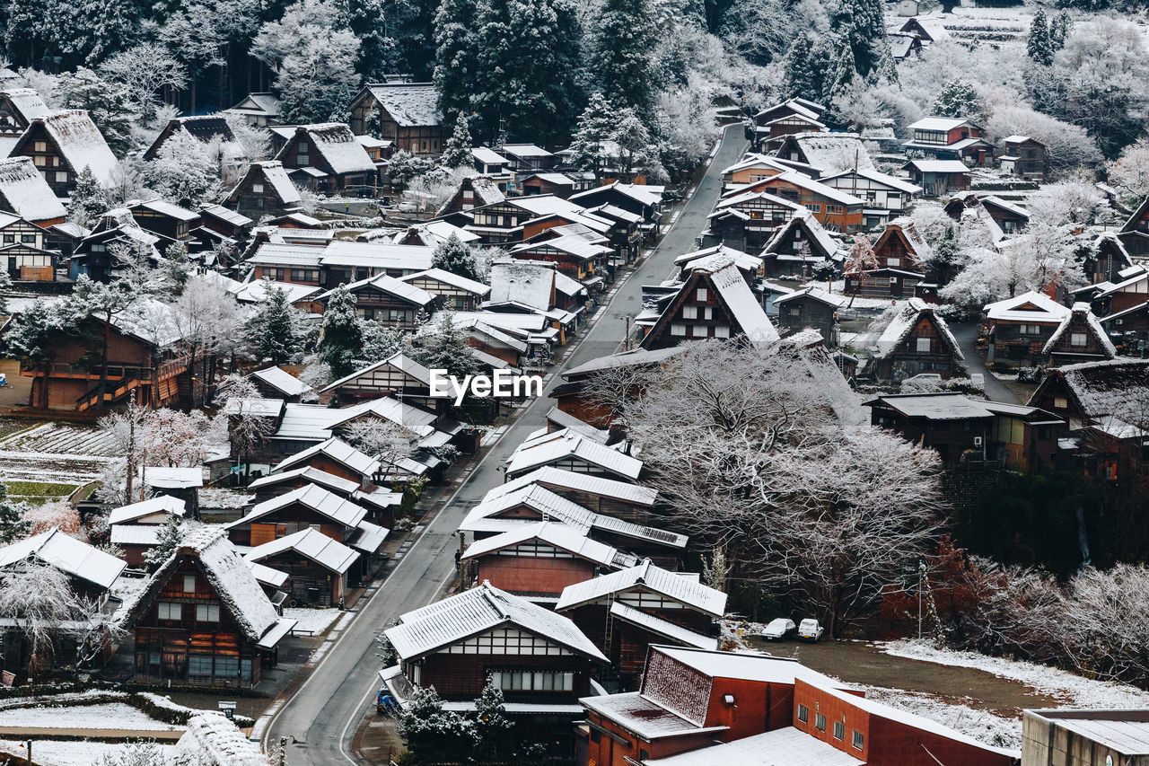 HIGH ANGLE VIEW OF SNOW COVERED TREES AND HOUSES