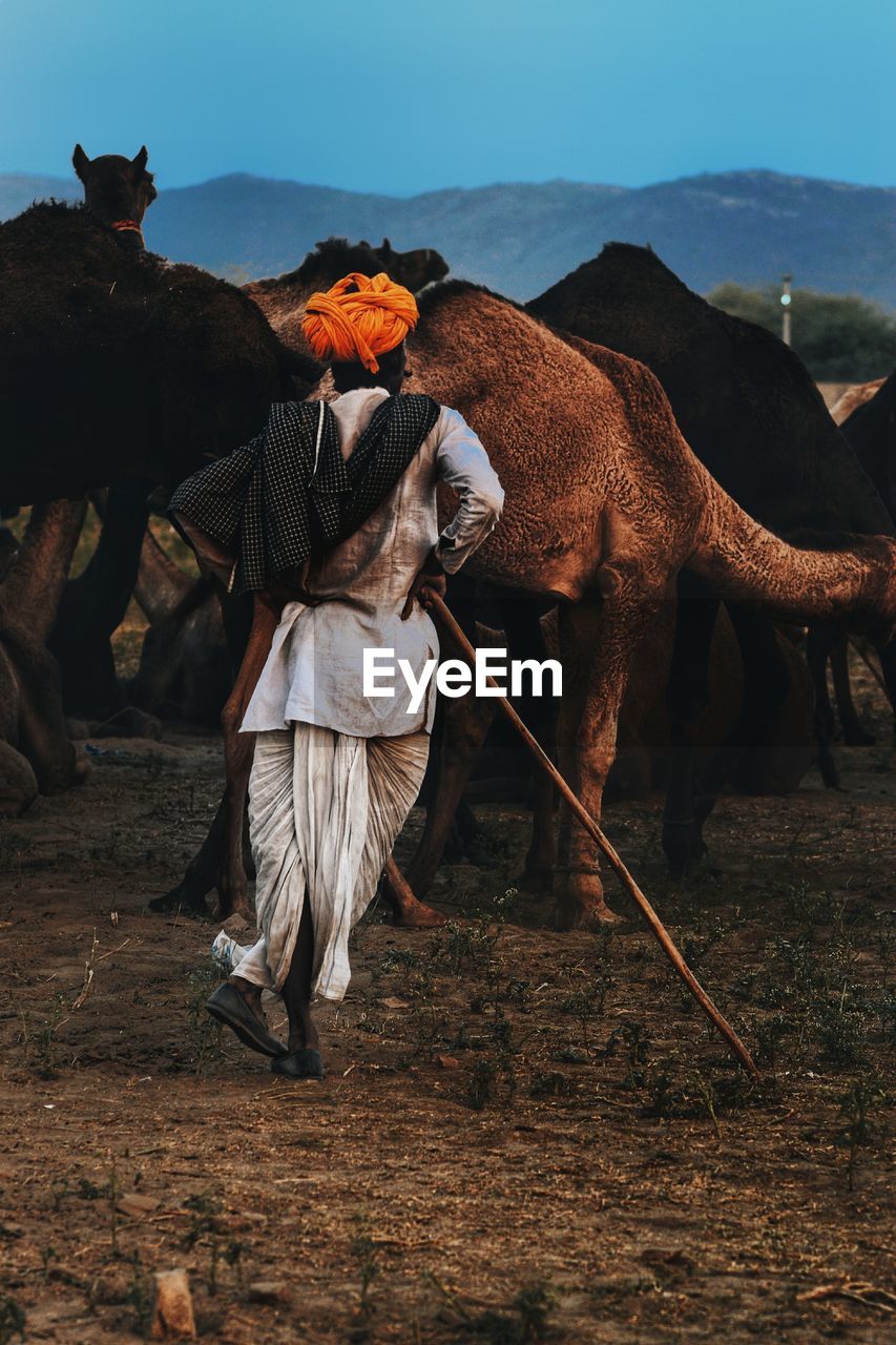 Man with camel standing on field against sky