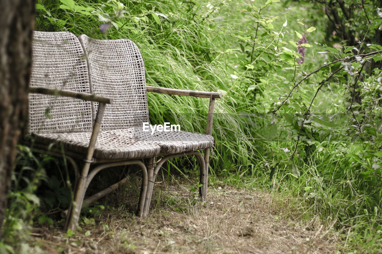 Empty wicker chairs in backyard