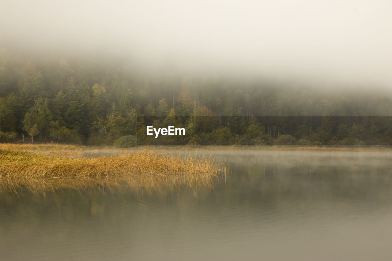 Misty sunrise at lake cerknika in slovenia with fall colors and fog over the water