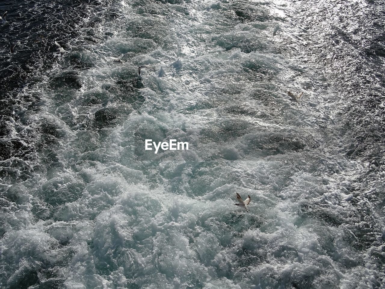 High angle view of waves in sea