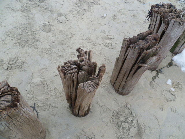 high angle view, sand, no people, day, nature, outdoors, close-up