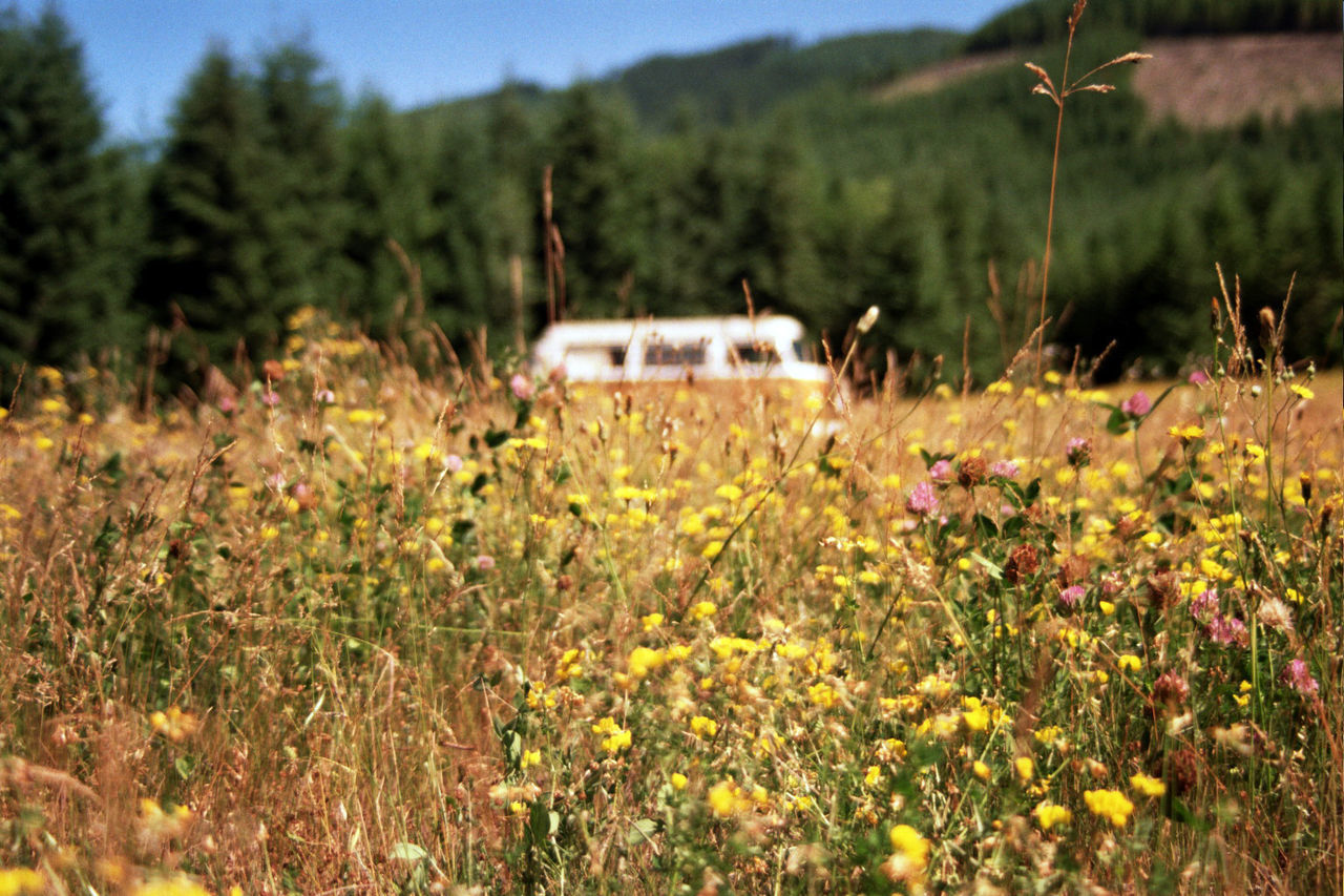 Van behind meadow