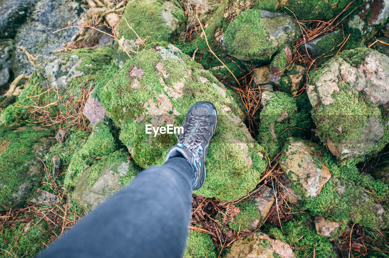 Low section of man standing on moss covered stones