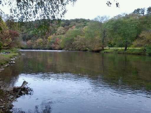 SCENIC VIEW OF LAKE