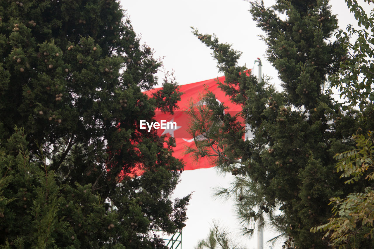 Low angle view of turkish flag waving in front of trees against clear sky