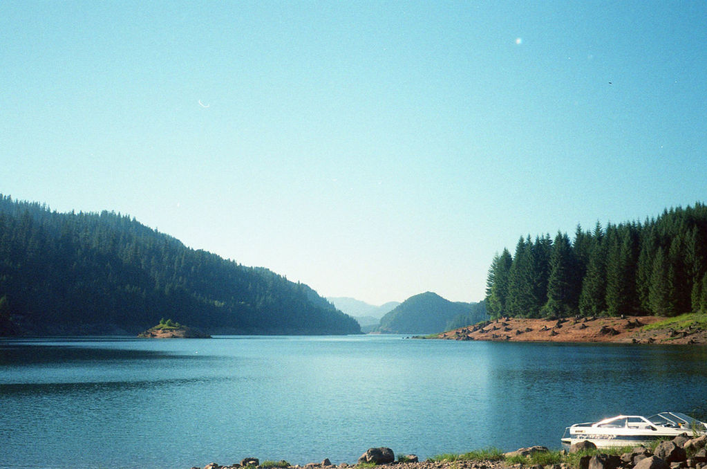View of calm lake against trees