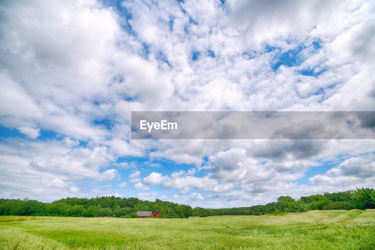 SCENIC VIEW OF FIELD AGAINST CLOUDY SKY