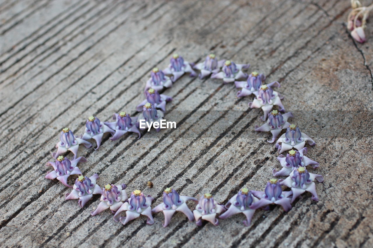 CLOSE-UP OF PURPLE FLOWERS ON TABLE
