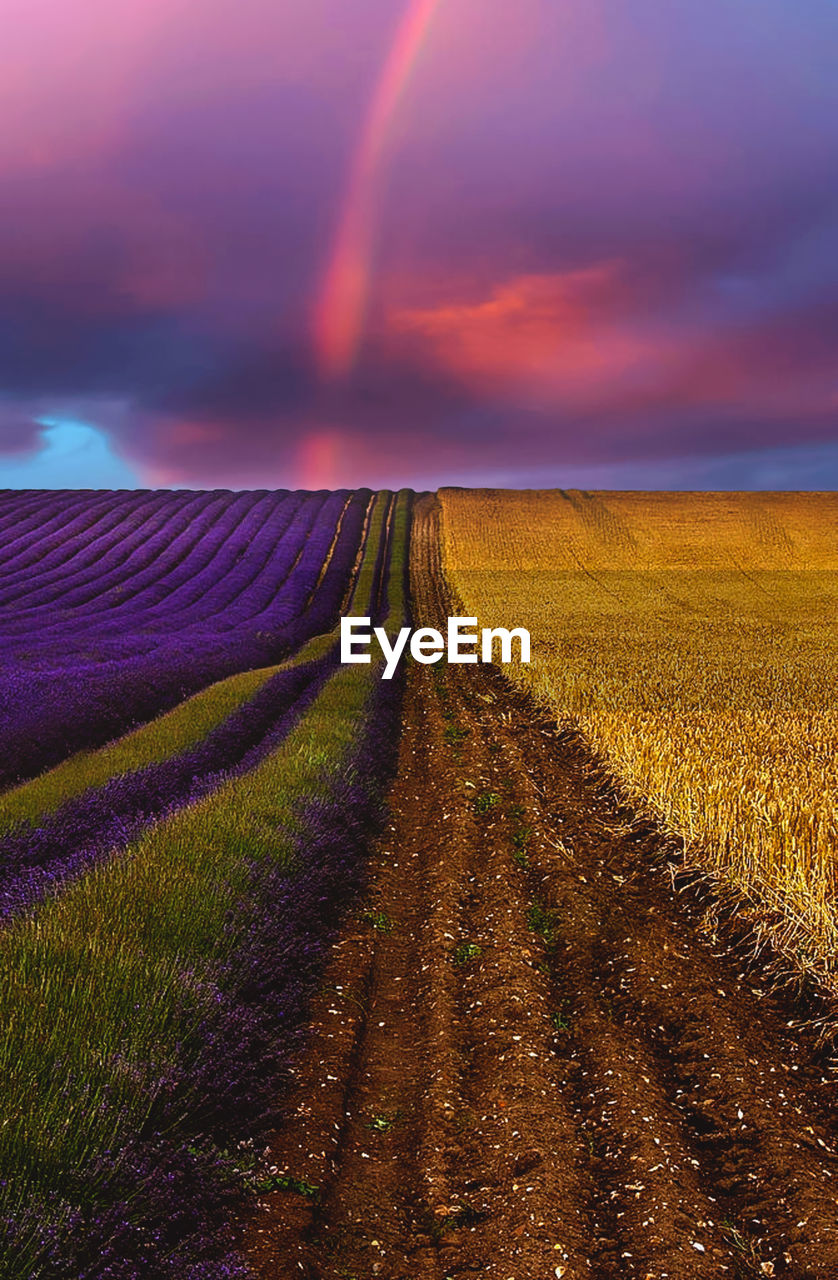 SCENIC VIEW OF LAND AGAINST SKY DURING SUNSET