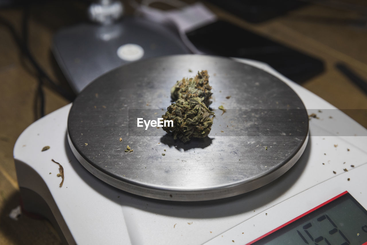 Weighing scales with dry marijuana floral buds on table in room on blurred background