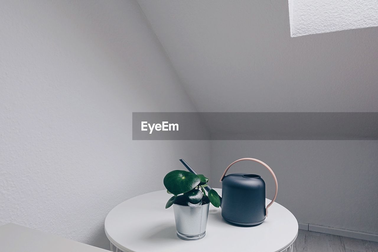 Potted plant and watering can on table against white wall