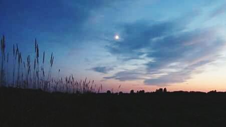 SILHOUETTE OF LANDSCAPE AT SUNSET