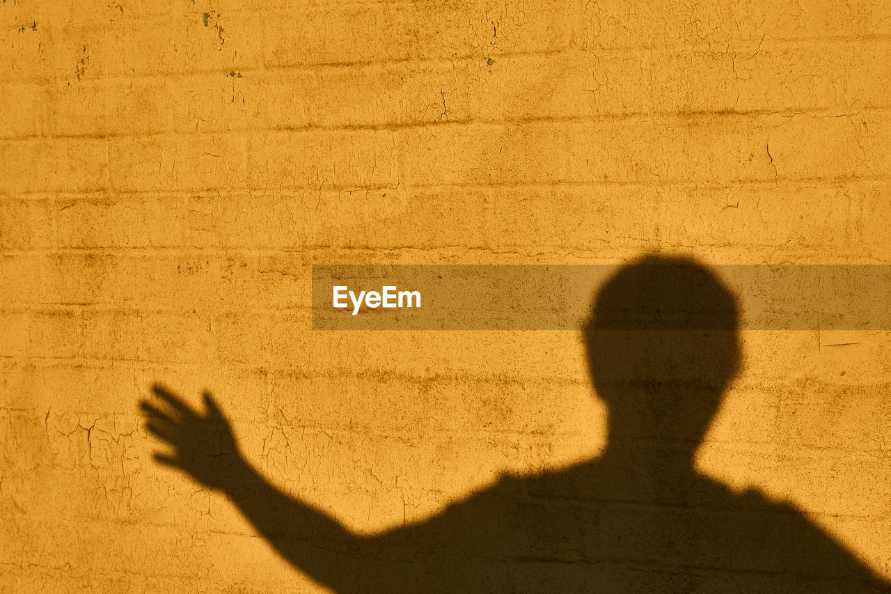 SHADOW OF PERSON ON WALL WITH CITY IN BACKGROUND