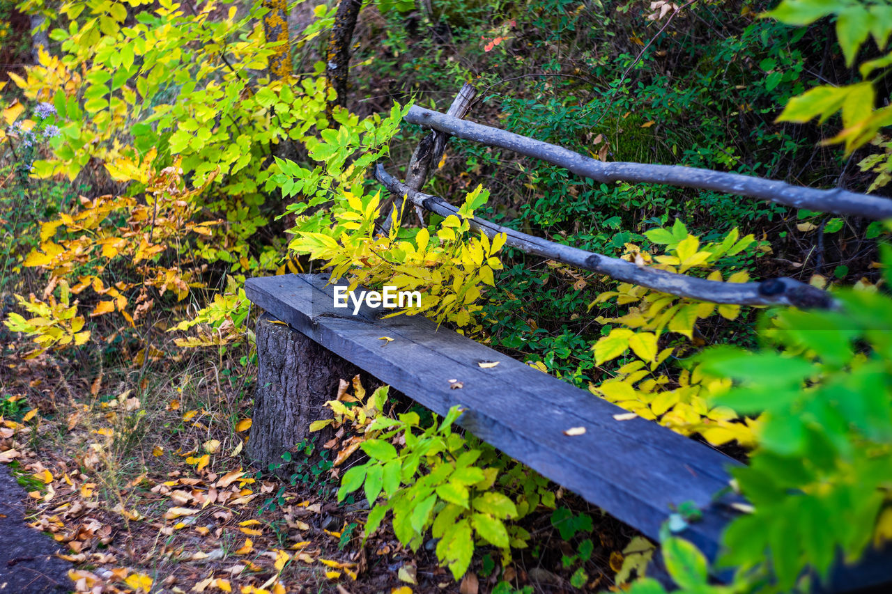 HIGH ANGLE VIEW OF YELLOW BENCH BY TREE