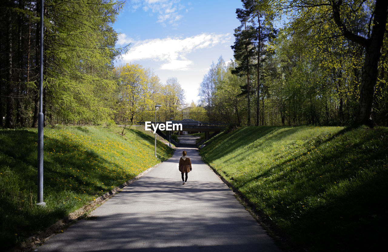 Rear view of woman walking on road amidst trees against sky