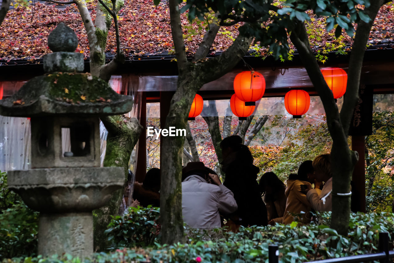 Group of tourists in japan