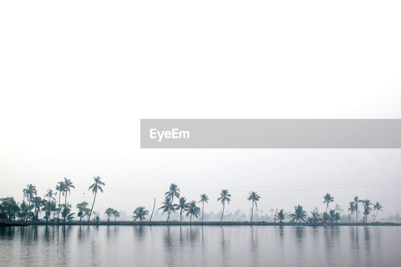 Lakescape with reflection of coconut trees