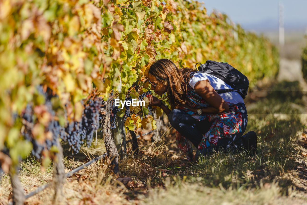 Woman smelling grapes at vineyard