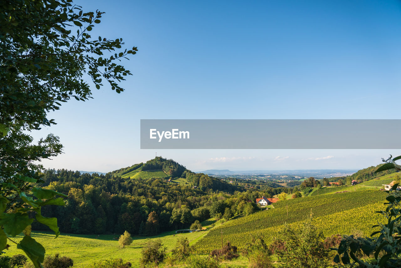 SCENIC VIEW OF AGRICULTURAL LANDSCAPE AGAINST SKY