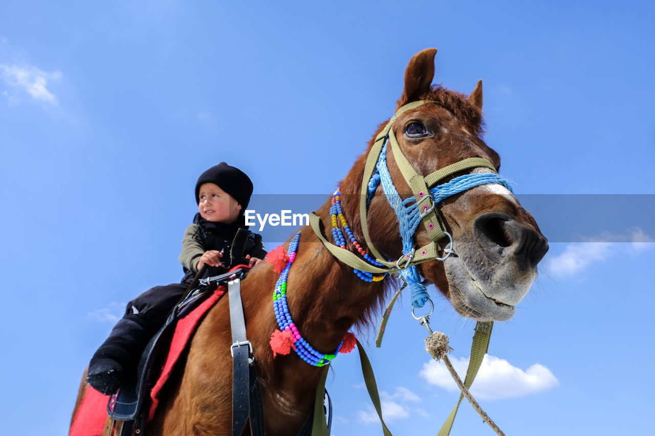 Low angle view of child and horse standing against sky