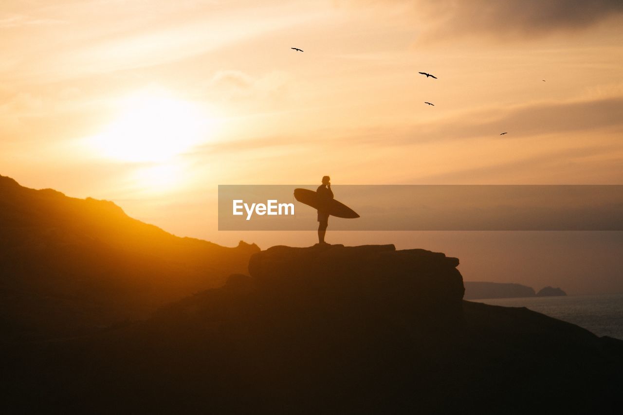 Silhouette of bird flying against sky during sunset