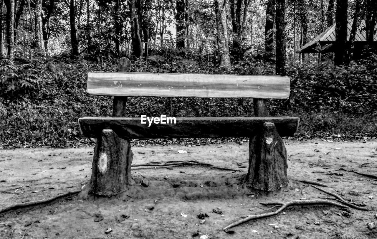 EMPTY BENCHES IN PARK