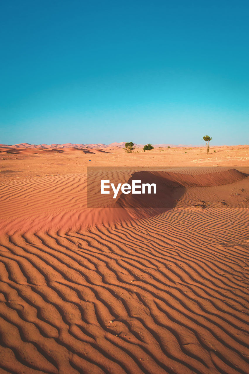 SCENIC VIEW OF SAND DUNE AGAINST CLEAR SKY