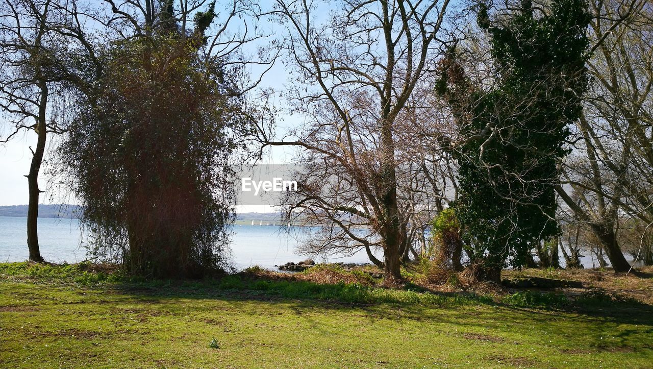 SCENIC VIEW OF LAKE AMIDST TREES